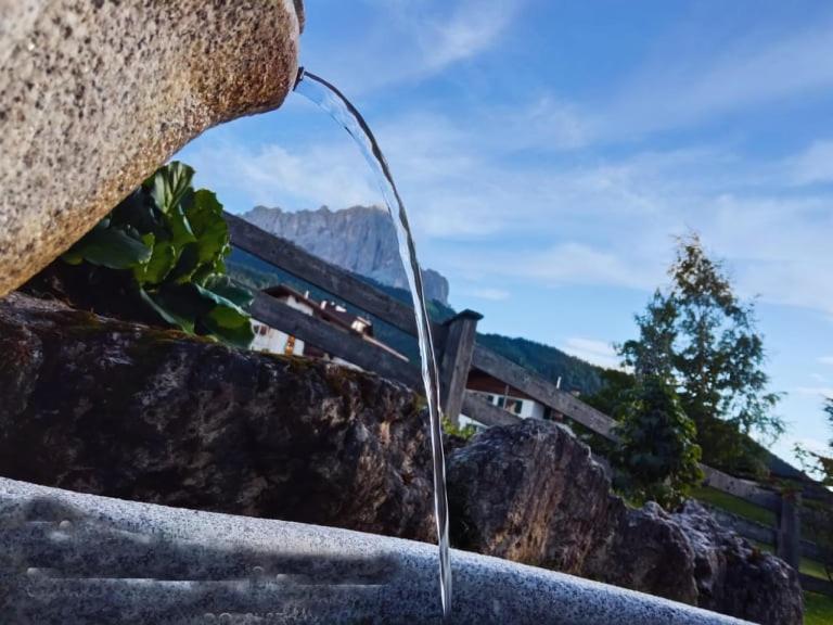 Garni Hotel Iris Селва ди Вал Гардена Екстериор снимка